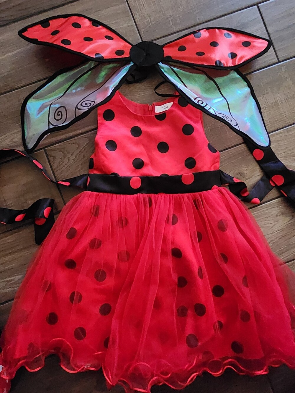 Red & Black Ladybug Tulle Kids Costume Dress with Wings